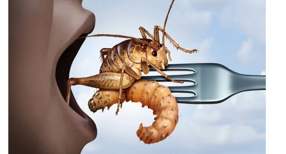Entomofagia - O Futuro da Alimentação Sustentável?