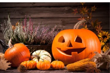 Muito Além da Decoração: A História da Abóbora no Halloween