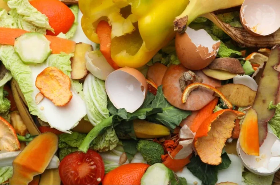 O Futuro da Gastronomia: Tendências Sustentáveis que Vão Transformar 2025