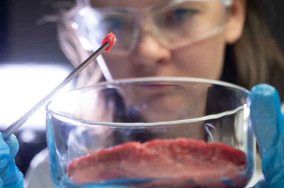 Revolução à Mesa: Como Insetos e Carne de Laboratório Estão Redesenhando o Futuro da Alimentação