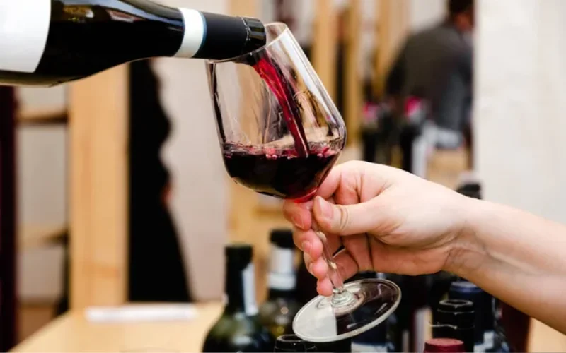 Vale dos Vinhedos: Sabores que Nutrem e Vinhos que Inspiram