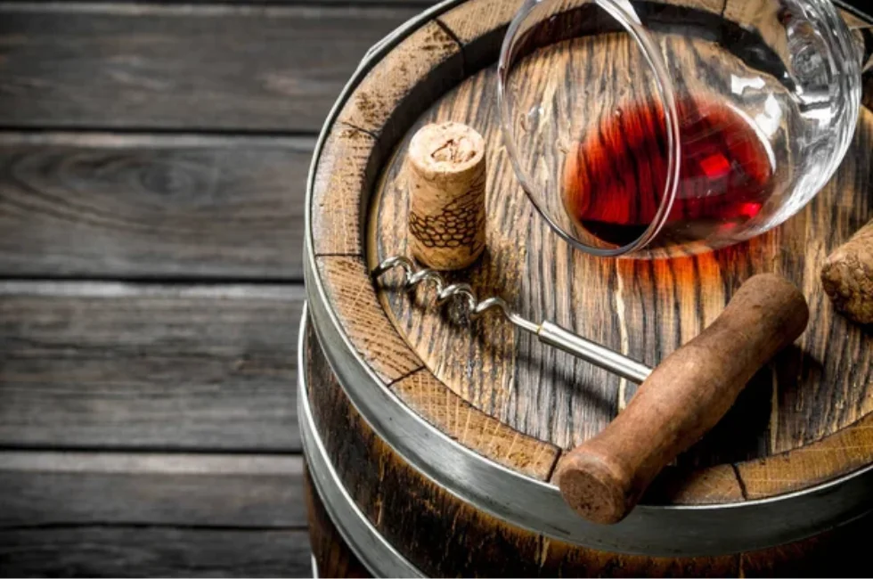 Uruguai: Um Roteiro de Vinhos Inesquecível nos Vinhedos de Montevidéu