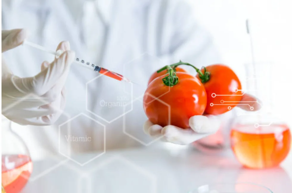 Revolução à Mesa: Como Insetos e Carne de Laboratório Estão Redesenhando o Futuro da Alimentação