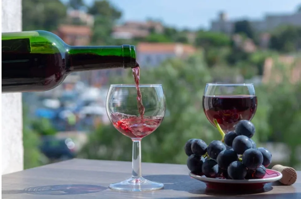 Uruguai: Um Roteiro de Vinhos Inesquecível nos Vinhedos de Montevidéu